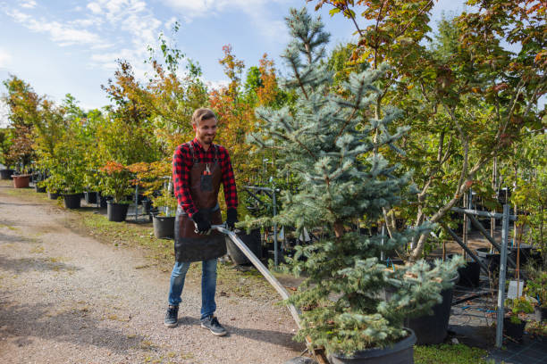 Best Tree Trimming and Pruning  in Rocky Mount, VA